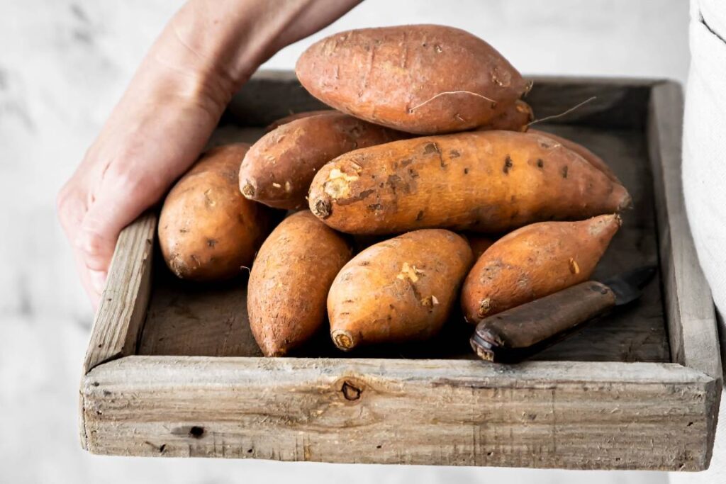 Sweet Potatos Recipes